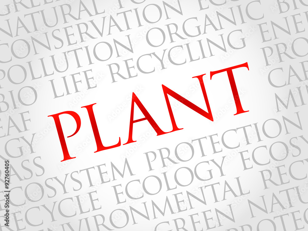 Plant word cloud, environmental concept