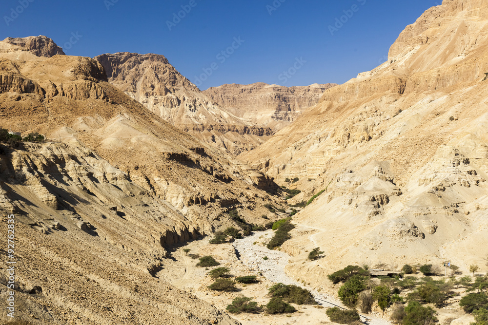 View from Ein Gedi kibbutz. Near Dead Sea, Israel