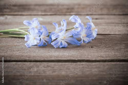 snowdrops on wooden background