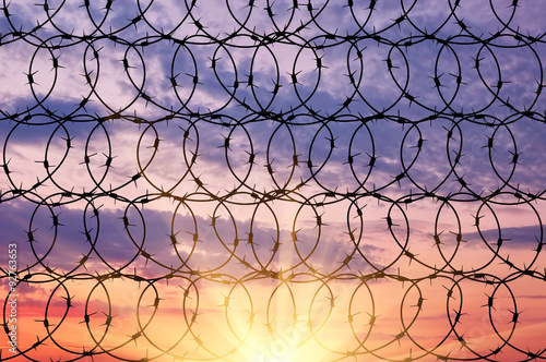  Silhouette of barbed wire