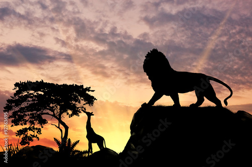 Fototapeta Naklejka Na Ścianę i Meble -  Silhouette of a lion