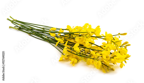 broom isolated on white photo