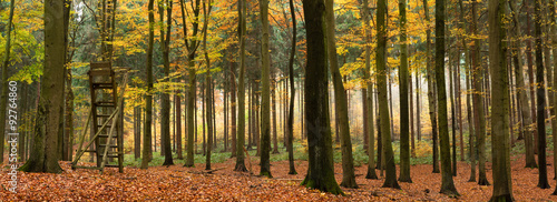 Herbstlicher Mischwald Panorama #92764860