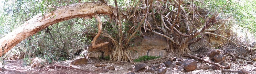 Karijini National Park, Western Australia