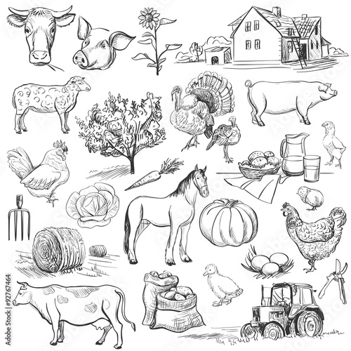 Farm collection - hand drawn set 
