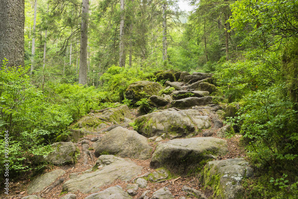 hiking in bavaria and european alpes