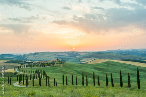 Twisty cypress road, green landscape at sunset, Tuscany, Italy 
