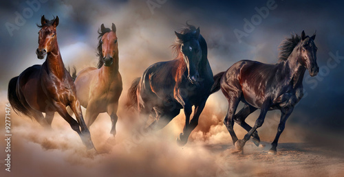 Horse herd run in desert sand storm against dramatic sky