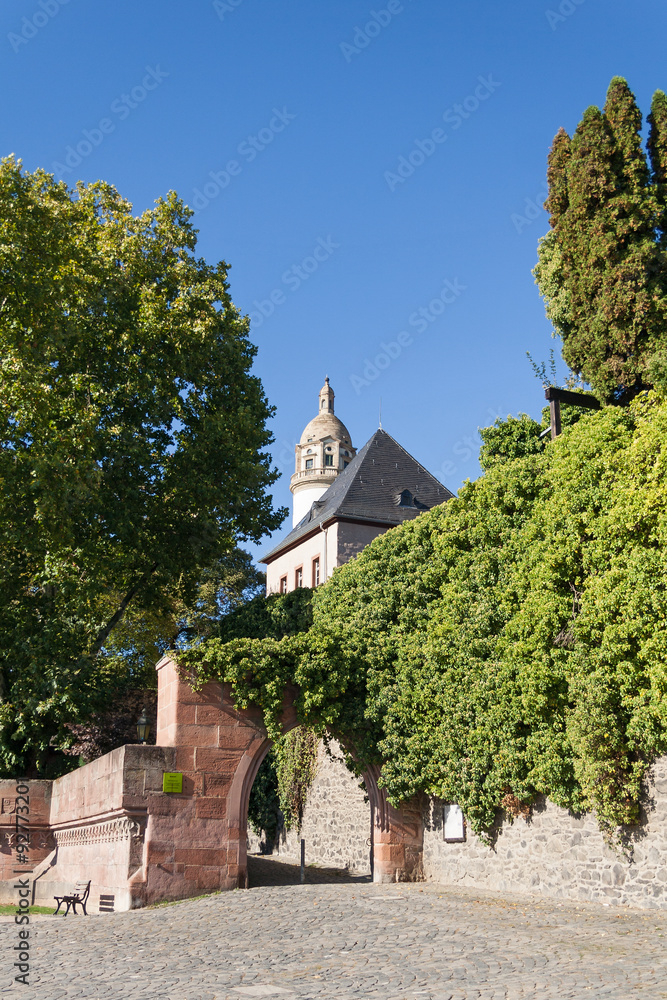 hoechst castle Stock Photo Adobe Stock