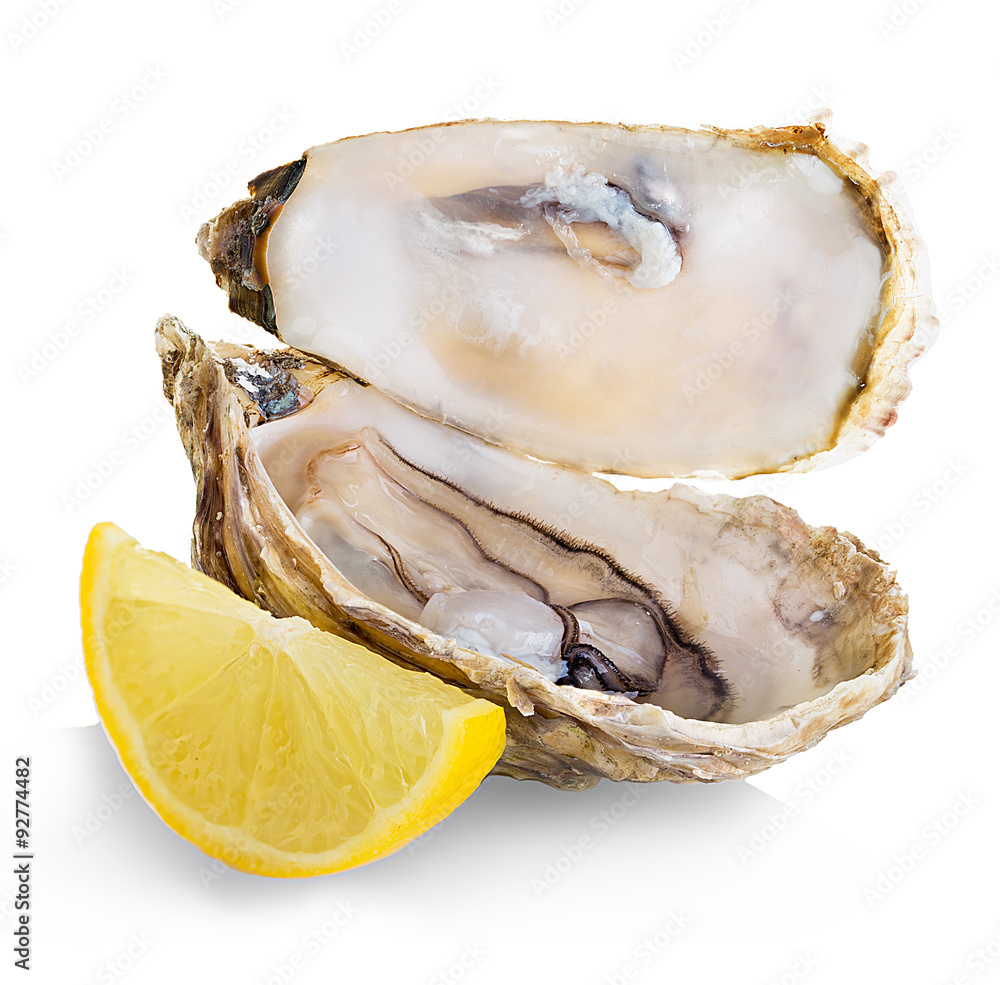 Oysters isolated on a white background