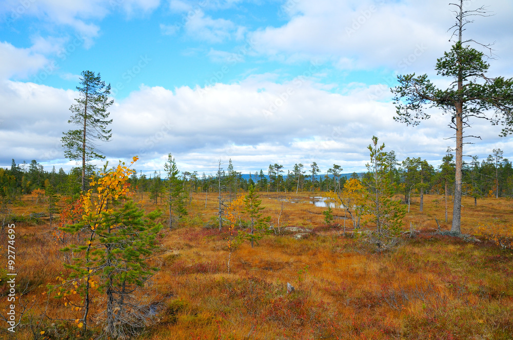 Fototapeta premium Fulufjället Nationalpark