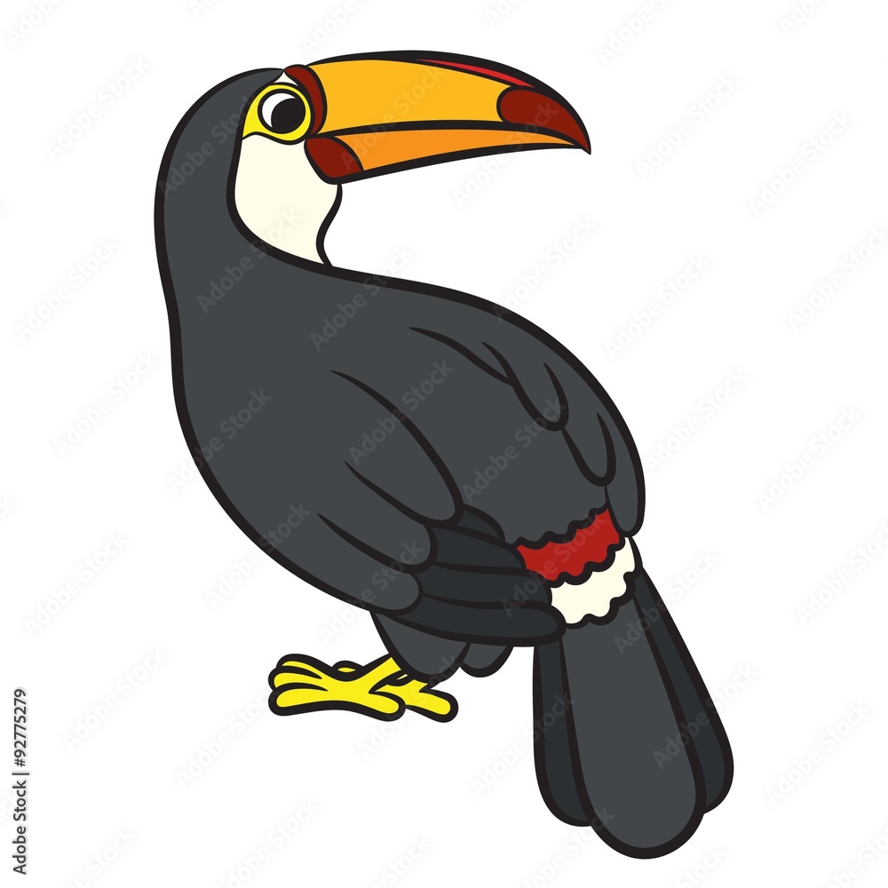 Naklejka premium Toucan bird illustration. Vector 