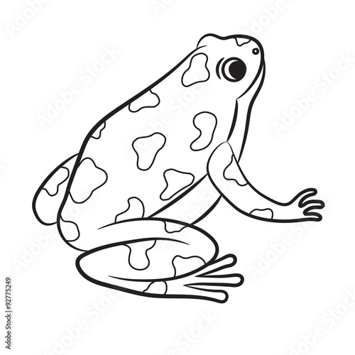 Outlined Poison-Dart Frog. Vector
