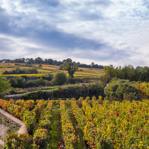 campagne de bourgogne