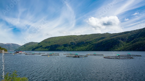 Wallpaper Mural Farm salmon fishing in Norway Torontodigital.ca