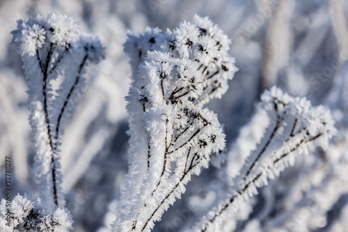 winter abstraction © Maslov Dmitry
