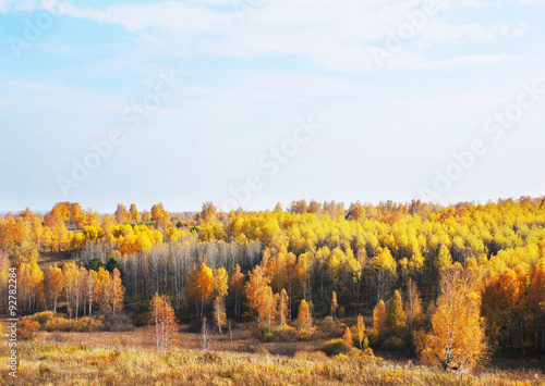 Golden fall. Beautiful autumn landscape in sunny day