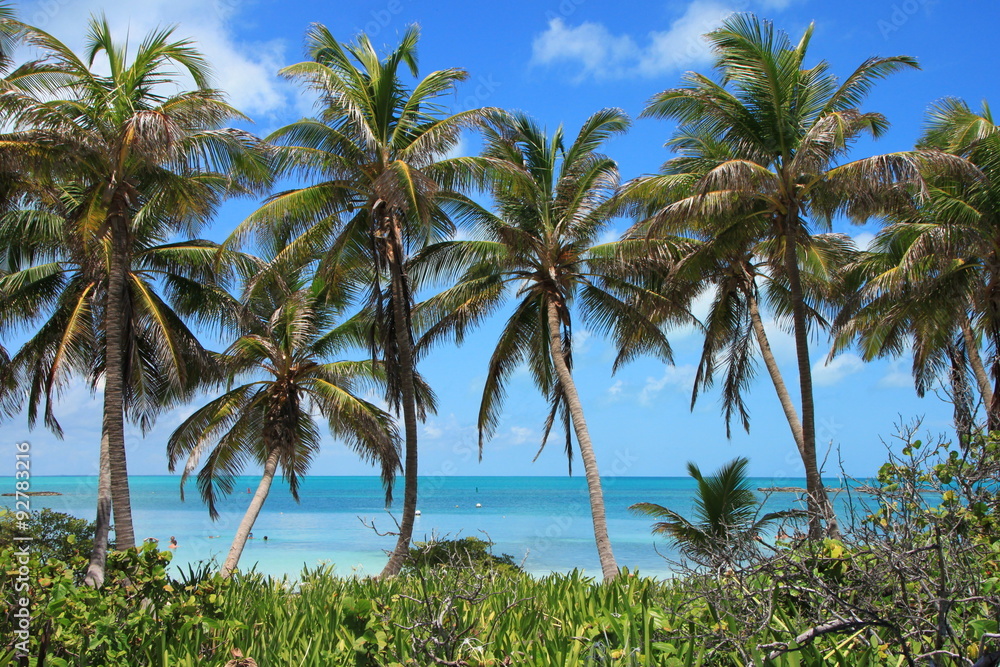Naklejka premium Messico, Cancun, Contoy e Isla Mujeres