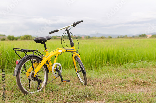 yellow bicycle in green filed.