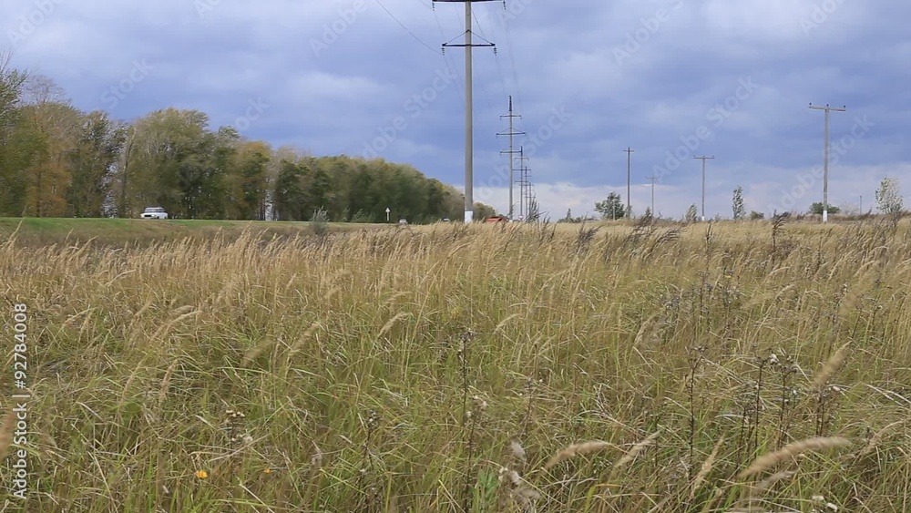 autumn field and dry grass in the foreground, distance poles and trees
autumn field and dry grass in the foreground, distance poles and trees