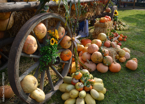 Erntedankfest Kürbisfest
