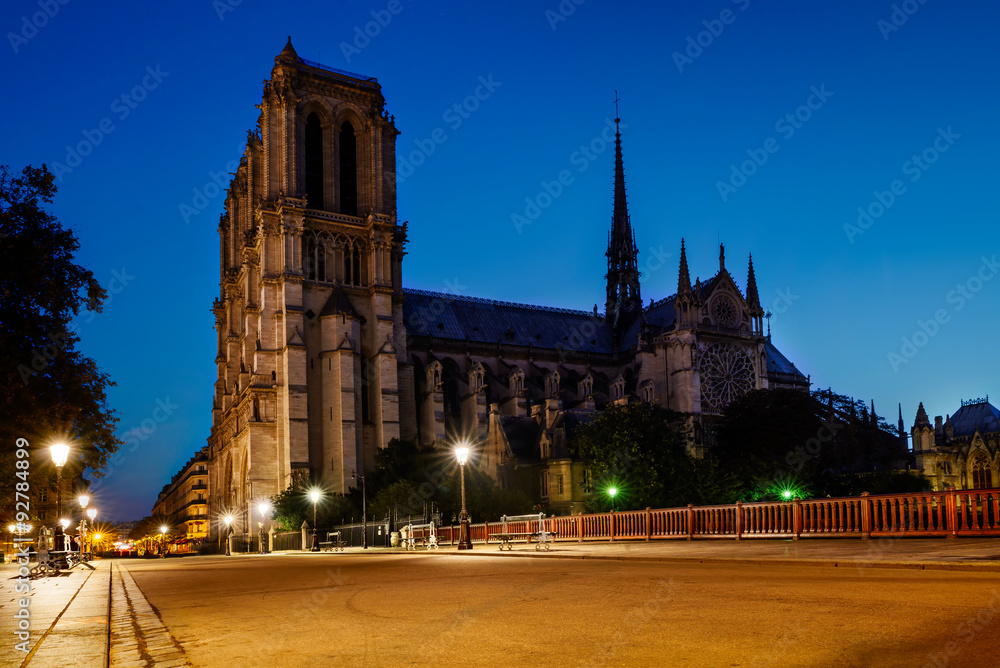 Fototapeta premium Notre Dame deParis