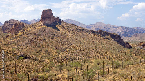 desert landscape with rock formations and mountains in distance