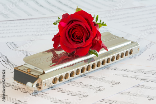 Tableau sur toile Harmonica met rode roos