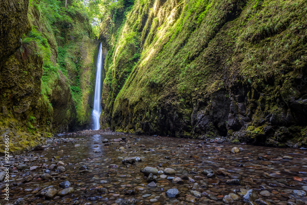 Fototapeta premium Beautiful nature in Oneonta Gorge trail, Oregon.