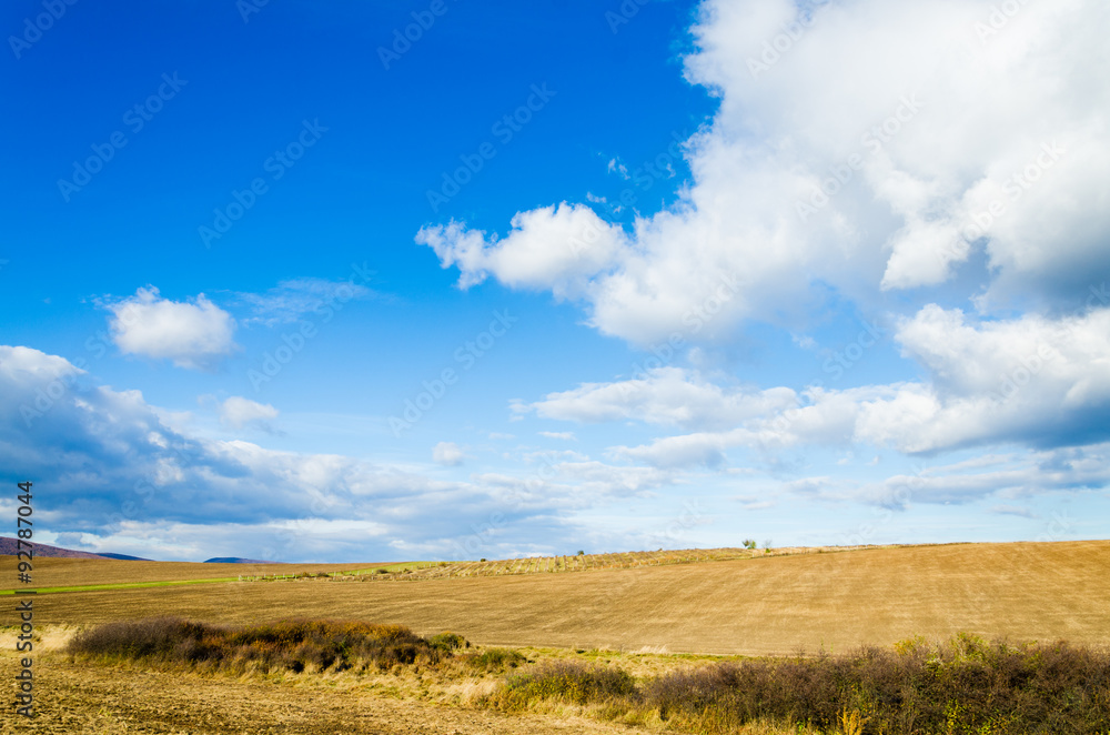 brown field and blue sky