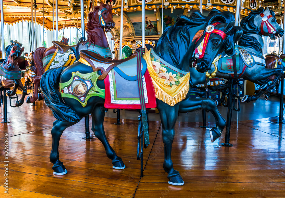 Horse Carousel NYC 9