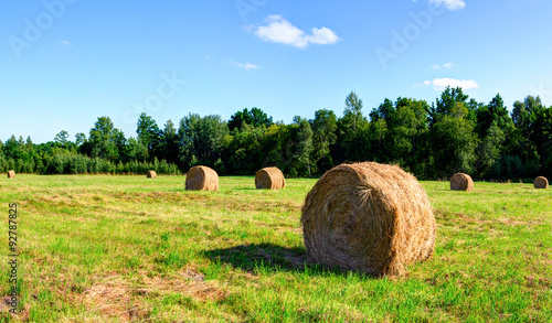 Rolls of hay laying on the meadow. Summer in Europe.