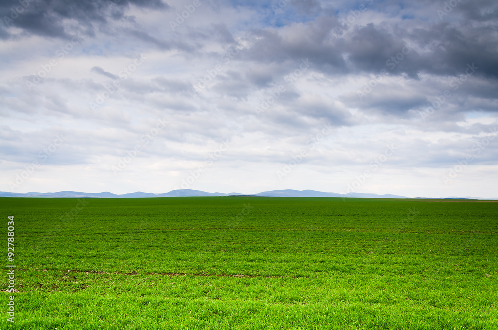 green field background