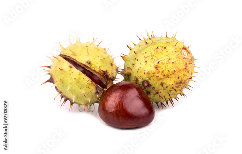 Chestnuts in the shell isolated on white background