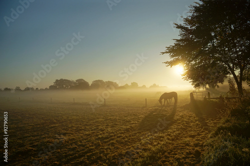 Fototapeta Naklejka Na Ścianę i Meble -  Schattenspiele