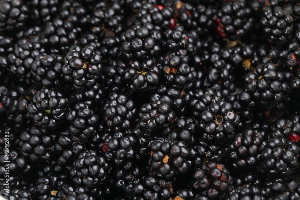 Beautiful ripe blackberry background, close up Beautiful ripe blackberry background, close up