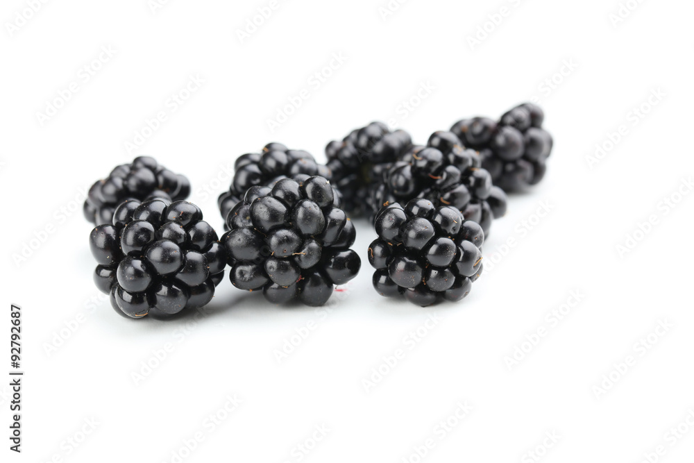 Blackberries isolated on a white Blackberries isolated on a white