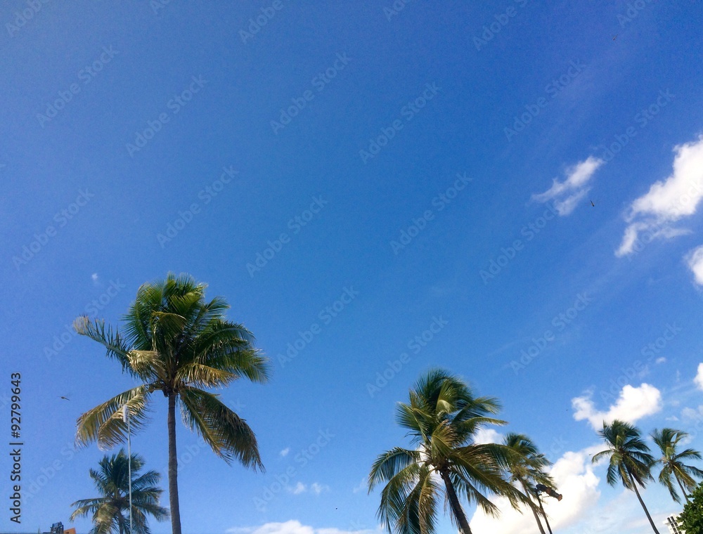 Fototapeta premium tropical palm trees swaying on a blue sky backdrop 