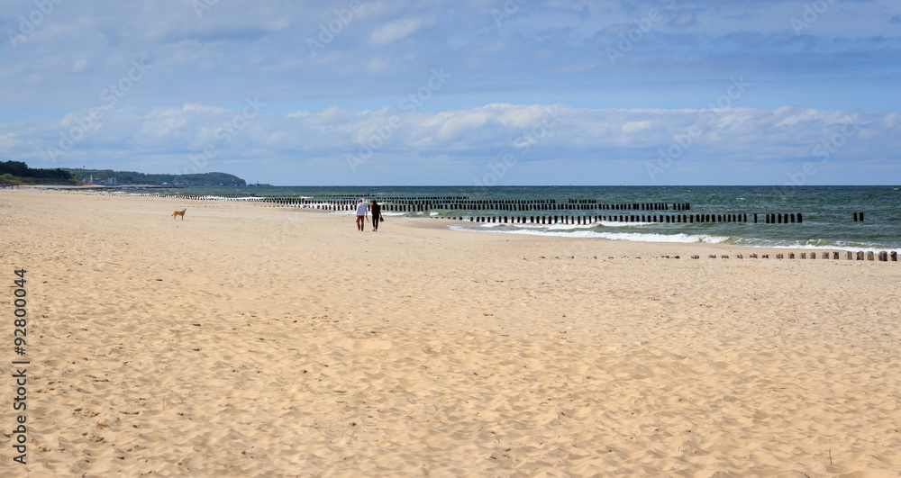 Couple with a dog walks along a beach on Baltic sea