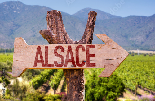 Fotografie Alsace wooden sign with winery background
