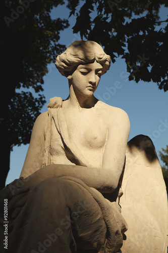 The goddess of love Aphrodite (Venus)