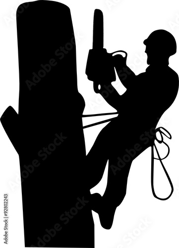 The silhouette of an arborist on the tree
