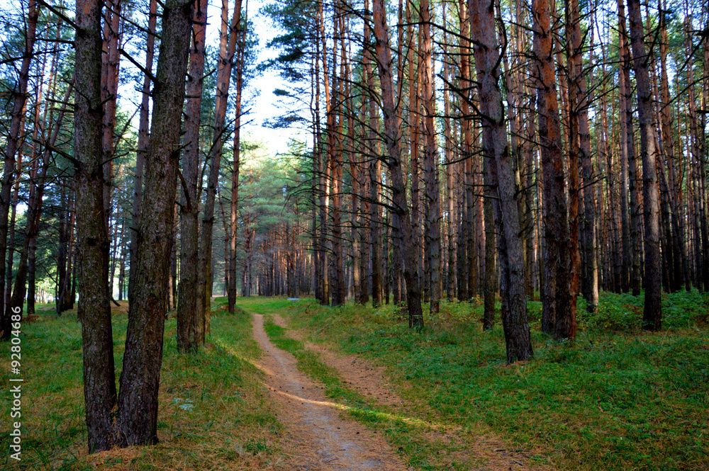 Obraz premium Осень