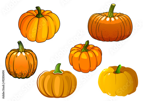 Orange pumpkin vegetables in cartoon style