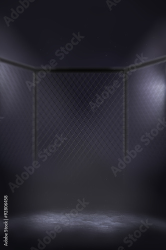 Slika na platnu MMA cage arena