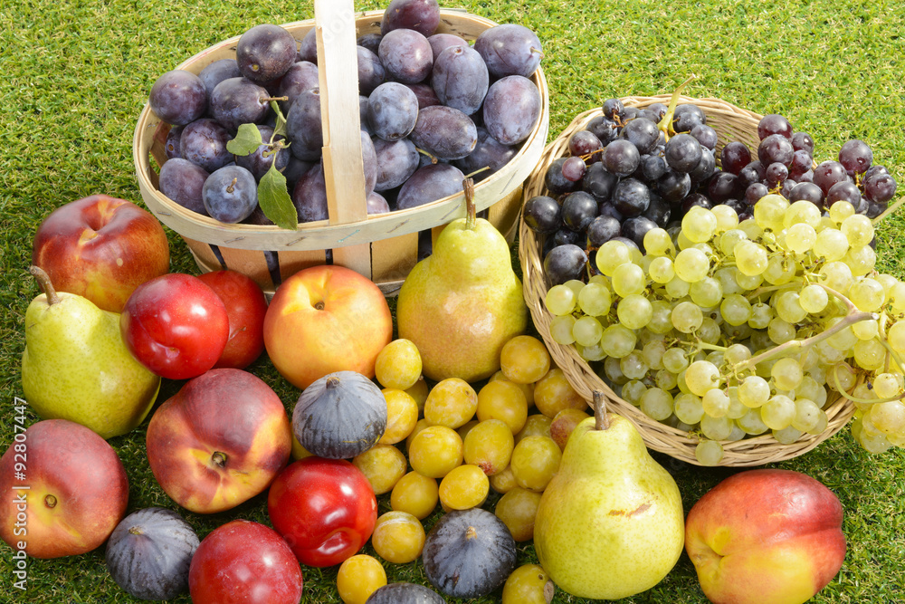 different seasonal fruits, plums, pears, grapes different seasonal fruits, plums, pears, grapes