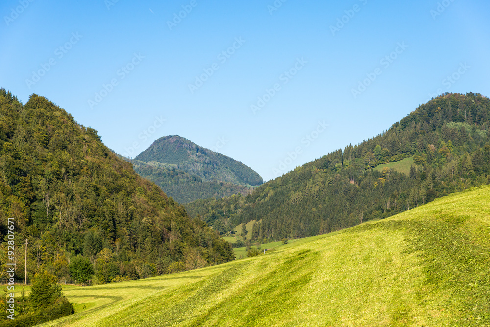 Alpine mountain pasture in the Hintergebirge or Limestone Alps in upper Austria. It is the largest closed and virtually uninhabited forest area in Austria. The meadow will be used for transhumance