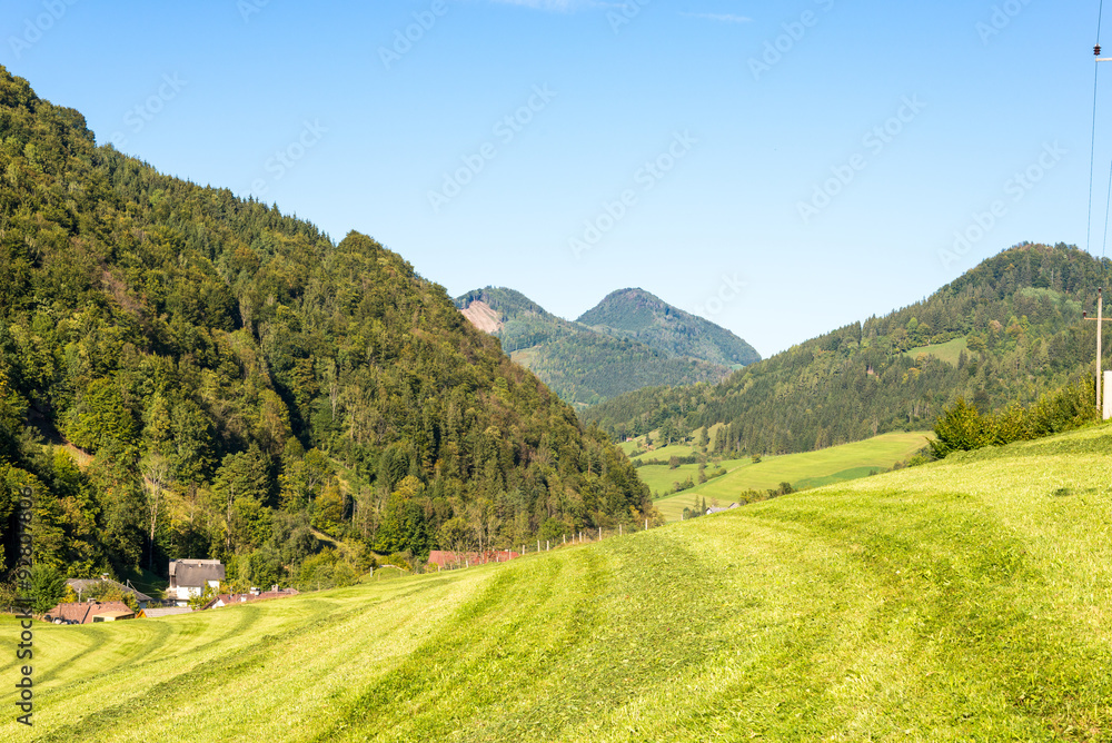 Alpine mountain pasture in the Hintergebirge or Limestone Alps in upper Austria. It is the largest closed and virtually uninhabited forest area in Austria. The meadow will be used for transhumance Alpine mountain pasture in the Hintergebirge or Limestone Alps in upper Austria. It is the largest closed and virtually uninhabited forest area in Austria. The meadow will be used for transhumance