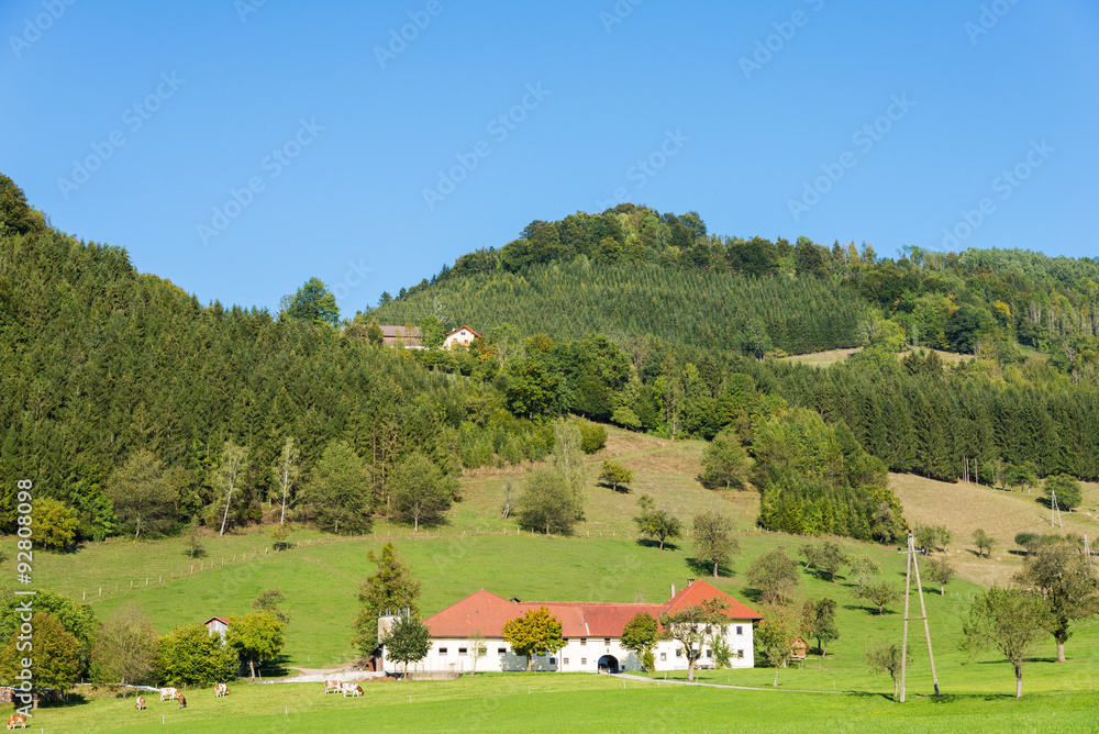 Landscape with Farmhouse in the Enns valley in Austria. The valley is one of the most beautiful landscapes in Upper Austria and Styria. The Farm is situated in the small village Grossraming