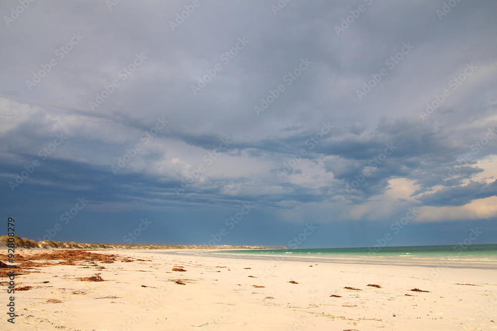 Fototapeta premium Nullarbor coastal landscape